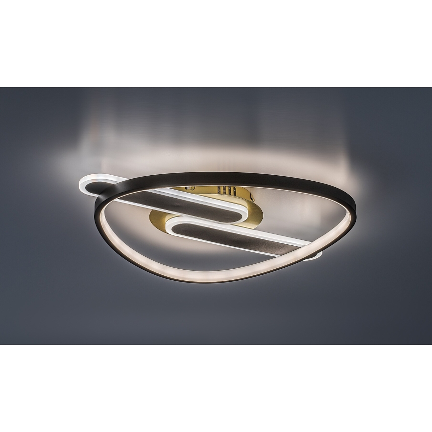 Rabalux - Dimeriuojamas lubinis LED šviestuvas LED/60W/230V 3000-6000K 53x45 cm + nuotolinis valdymas