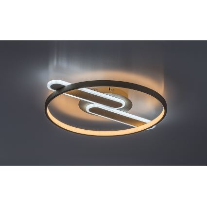 Rabalux - dimeriuojamas lubų LED šviestuvas LED/55W/230V 3000-6000K 53x45 cm + nuotolinis valdymas