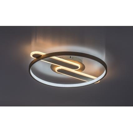 Rabalux - dimeriuojamas lubų LED šviestuvas LED/55W/230V 3000-6000K 53x45 cm + nuotolinis valdymas