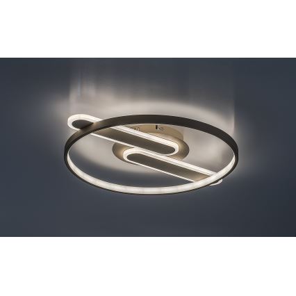 Rabalux - dimeriuojamas lubų LED šviestuvas LED/55W/230V 3000-6000K 53x45 cm + nuotolinis valdymas
