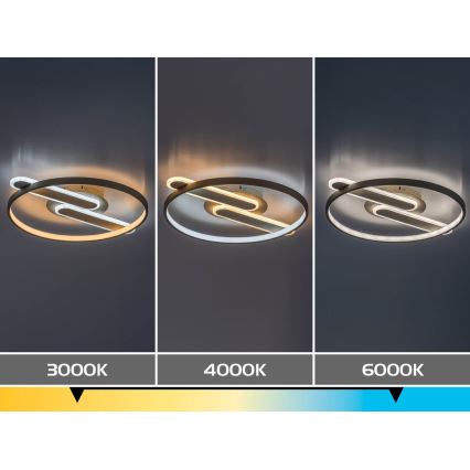 Rabalux - dimeriuojamas lubų LED šviestuvas LED/55W/230V 3000-6000K 53x45 cm + nuotolinis valdymas