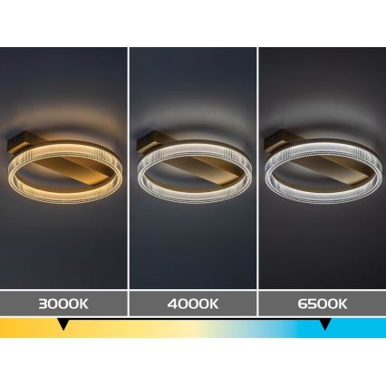 Rabalux - reguliuojamas LED lubinis šviestuvas LED/18W/230V 3000-6500K 37x33 cm + nuotolinis pultelis