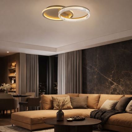 Rabalux - reguliuojamo ryškumo LED lubų šviestuvas LED/22W/230V 3000-6500K 53,5x35 cm + nuotolinio valdymo pultas
