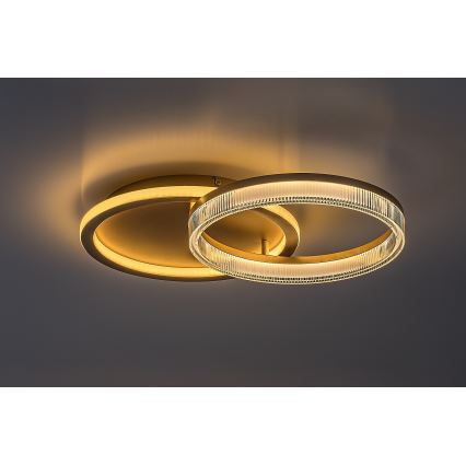 Rabalux - reguliuojamo ryškumo LED lubų šviestuvas LED/22W/230V 3000-6500K 53,5x35 cm + nuotolinio valdymo pultas