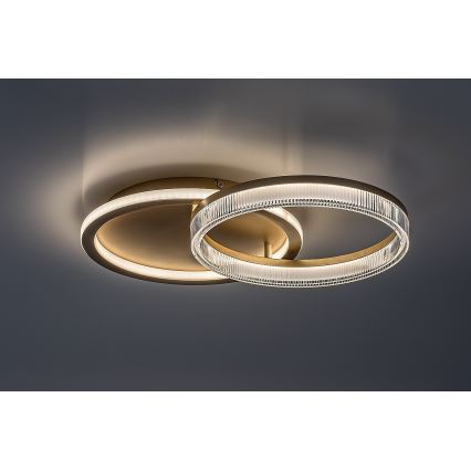 Rabalux - reguliuojamo ryškumo LED lubų šviestuvas LED/22W/230V 3000-6500K 53,5x35 cm + nuotolinio valdymo pultas