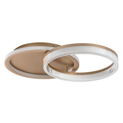 Rabalux - reguliuojamo ryškumo LED lubų šviestuvas LED/22W/230V 3000-6500K 53,5x35 cm + nuotolinio valdymo pultas