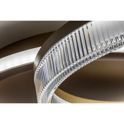 Rabalux - reguliuojamo ryškumo LED lubų šviestuvas LED/22W/230V 3000-6500K 53,5x35 cm + nuotolinio valdymo pultas
