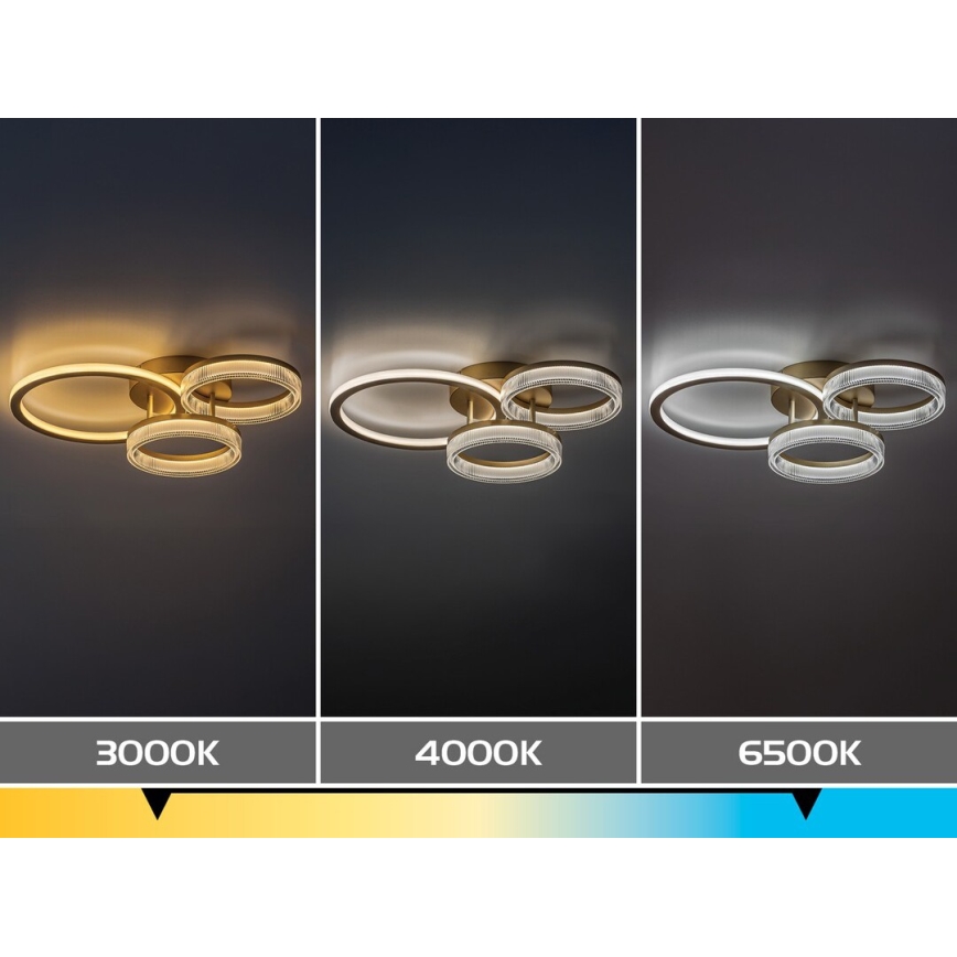 Rabalux - LED Pritemdomas lubinis šviestuvas LED/38W/230V 3000-6500K 58,5x38 cm + nuotolinis valdymas