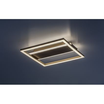 Rabalux - LED lubinis šviestuvas LED/24W/230V 33x33 cm