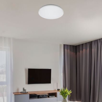 Rabalux - LED lubinis šviestuvas LED/12W/230V 4000K skers. 25,5 cm