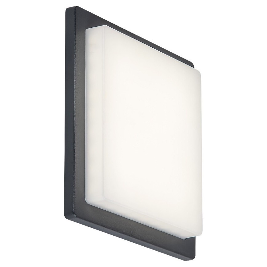Rabalux - LED Lauko sieninis šviestuvas LED/8W/230V IP65