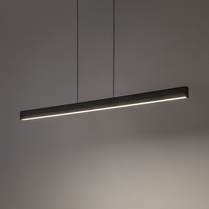 Rabalux - LED pakabinamas šviestuvas ant laido LED/19W/230V 4000K juodas