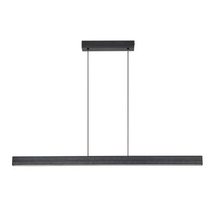 Rabalux - LED pakabinamas šviestuvas ant laido LED/19W/230V 4000K juodas