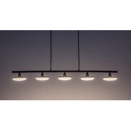 Rabalux - LED Pakabinamas sietynas 5xLED/4W/230V 3000K