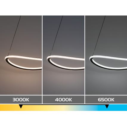 Rabalux - LED reguliuojamas pakabinamas šviestuvas ant laido LED/45W/230V 3000-6500K + nuotolinis valdymas