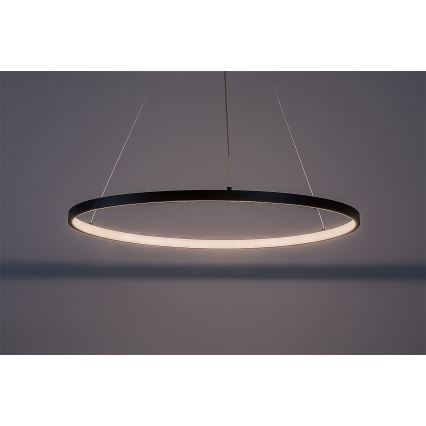 Rabalux - LED pakabinamas šviestuvas ant troselio LED/55W/230V 3000K