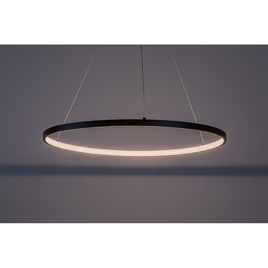 Rabalux - LED pakabinamas šviestuvas ant troselio LED/55W/230V 3000K