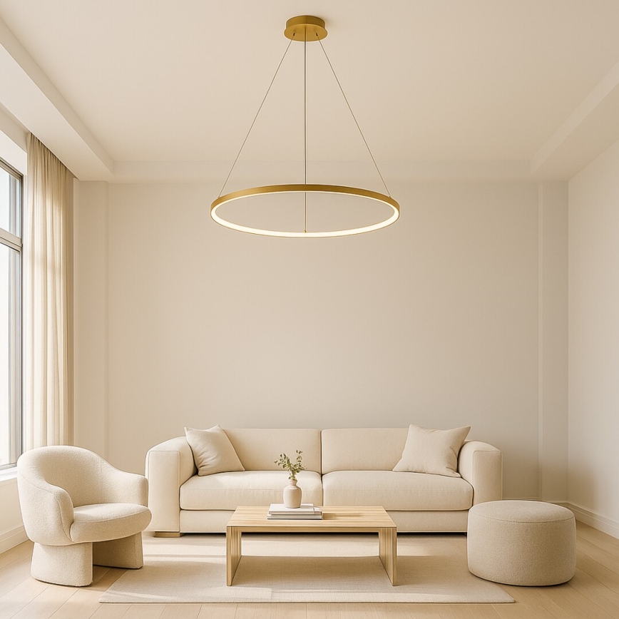 Rabalux - Pakabinamas LED šviestuvas su laidu LED/55W/230V 3000K