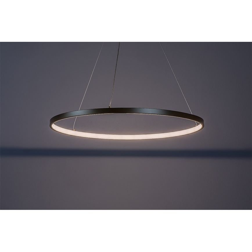 Rabalux - Pakabinamas LED šviestuvas su laidu LED/55W/230V 3000K