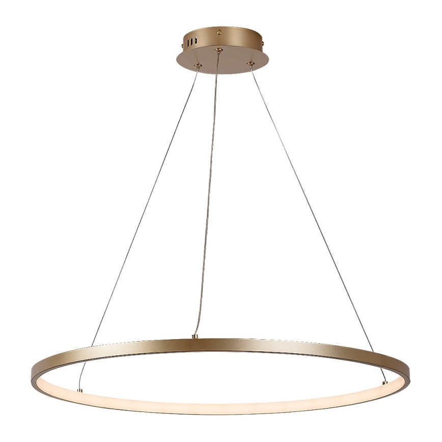 Rabalux - Pakabinamas LED šviestuvas su laidu LED/55W/230V 3000K