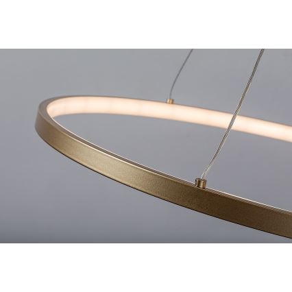 Rabalux - Pakabinamas LED šviestuvas su laidu LED/55W/230V 3000K