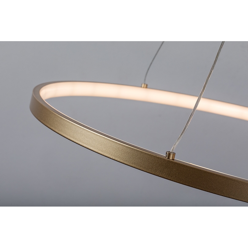 Rabalux - Pakabinamas LED šviestuvas su laidu LED/55W/230V 3000K