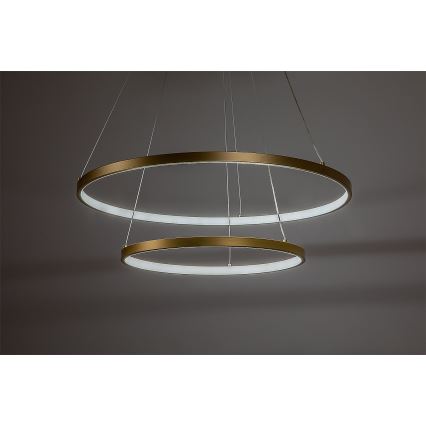 Rabalux - LED dimeriuojama liustra ant laido LED/75W/230V 3000-6500K + nuotolinis valdymas