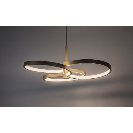 Rabalux - reguliuojamas LED pakabinamas šviestuvas ant laido LED/50W/230V 3000-6500K + nuotolinis valdymas