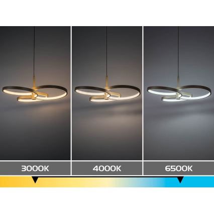 Rabalux - reguliuojamas LED pakabinamas šviestuvas ant laido LED/50W/230V 3000-6500K + nuotolinis valdymas