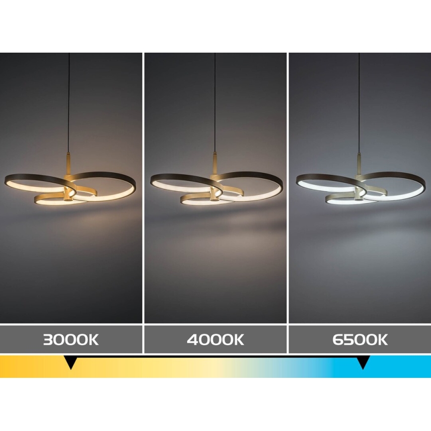 Rabalux - reguliuojamas LED pakabinamas šviestuvas ant laido LED/50W/230V 3000-6500K + nuotolinis valdymas