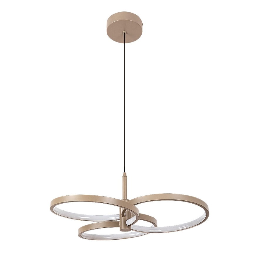 Rabalux - reguliuojamas LED pakabinamas šviestuvas ant laido LED/50W/230V 3000-6500K + nuotolinis valdymas