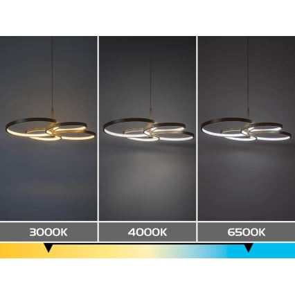 Rabalux - dimeriuojamas LED pakabinamas šviestuvas ant laido LED/70W/230V 3000-6500K + nuotolinis valdymas