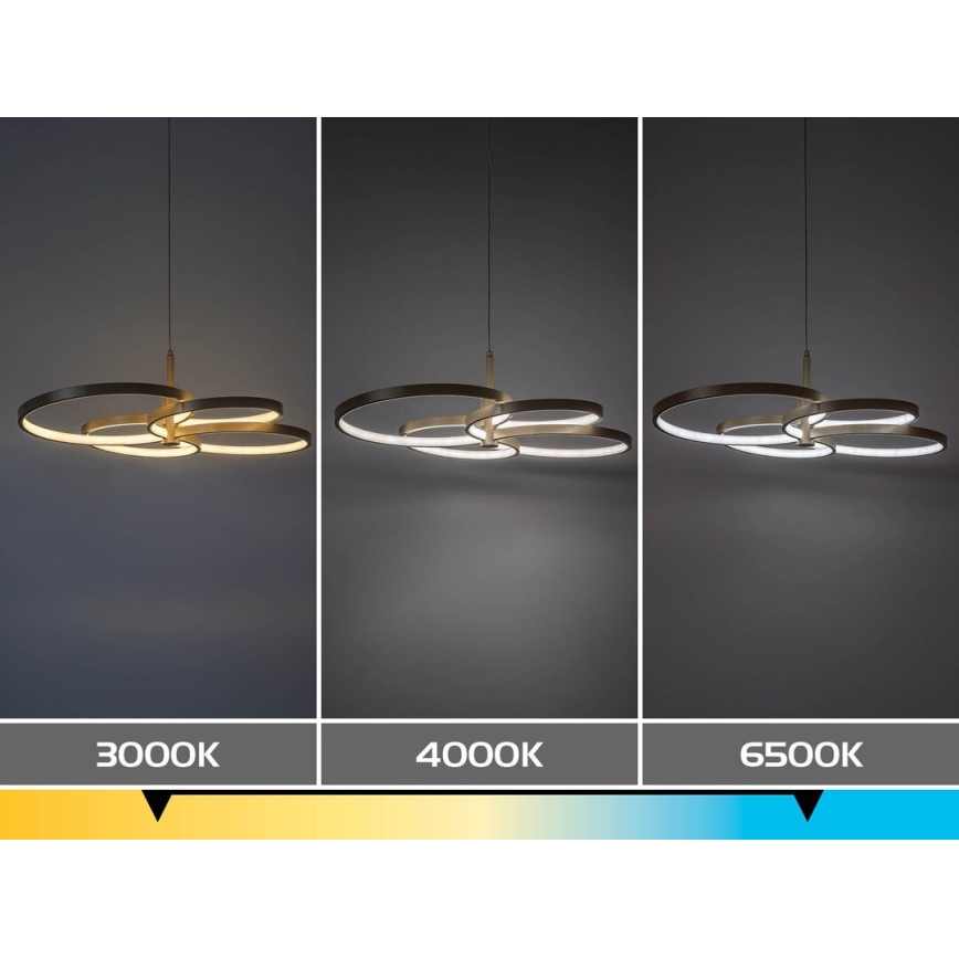 Rabalux - dimeriuojamas LED pakabinamas šviestuvas ant laido LED/70W/230V 3000-6500K + nuotolinis valdymas
