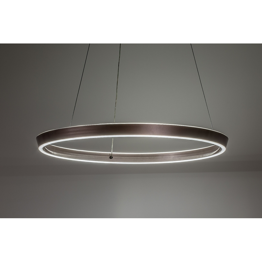 Rabalux - LED reguliuojamas pakabinamas šviestuvas ant laido LED/70W/230V 3000-6500K + nuotolinis valdymas
