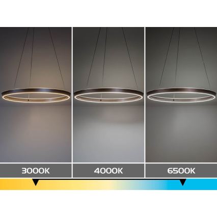 Rabalux - LED reguliuojamas pakabinamas šviestuvas ant laido LED/70W/230V 3000-6500K + nuotolinis valdymas