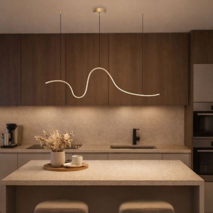 Rabalux - pakabinamas LED šviestuvas ant troso LED/20W/230V 3000K