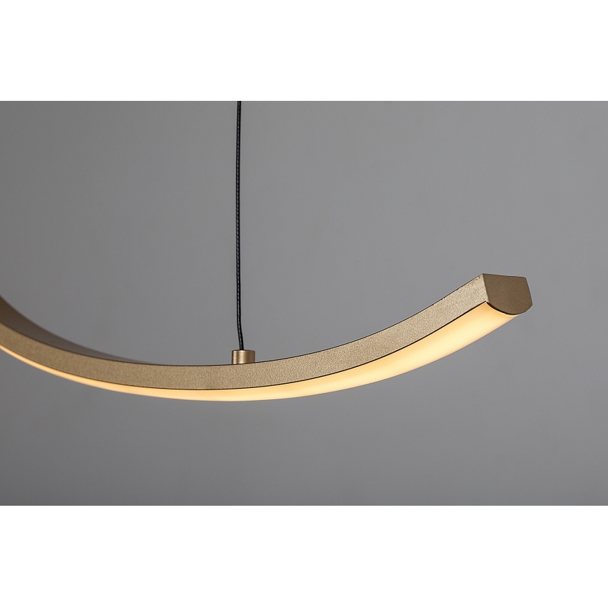 Rabalux - pakabinamas LED šviestuvas ant troso LED/20W/230V 3000K