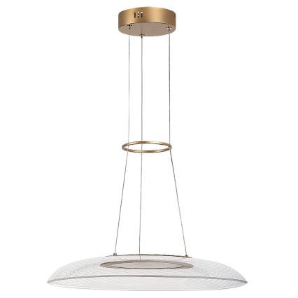 Rabalux - LED pakabinamas šviestuvas ant laido LED/24W/230V 3000K