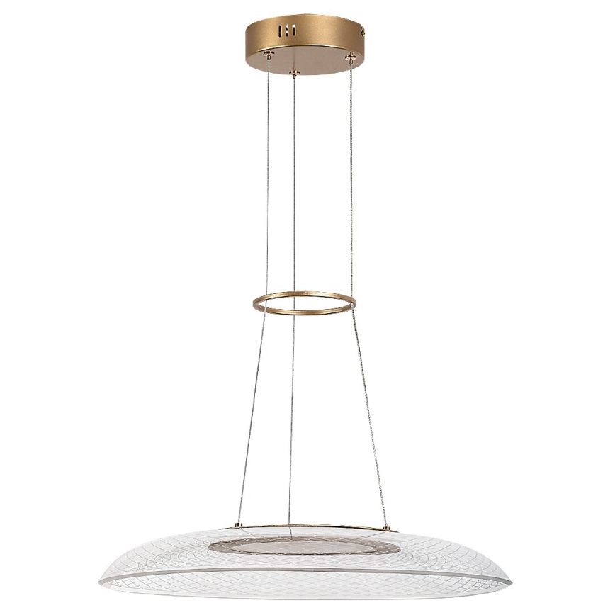 Rabalux - LED pakabinamas šviestuvas ant laido LED/24W/230V 3000K