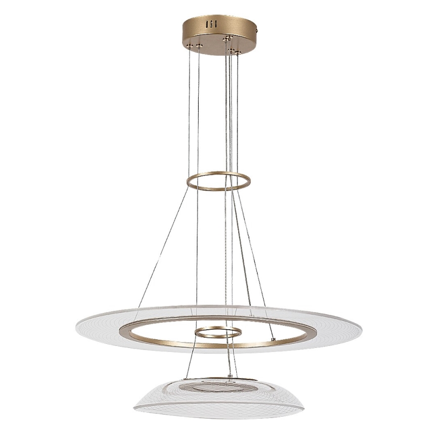 Rabalux - LED pakabinamas šviestuvas ant lyno LED/36W/230V 3000K