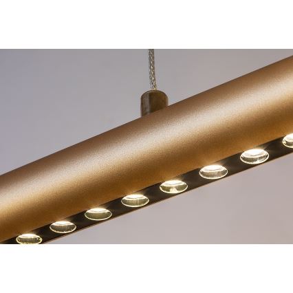 Rabalux - LED liustra ant laido LED/24W/230V 3000K