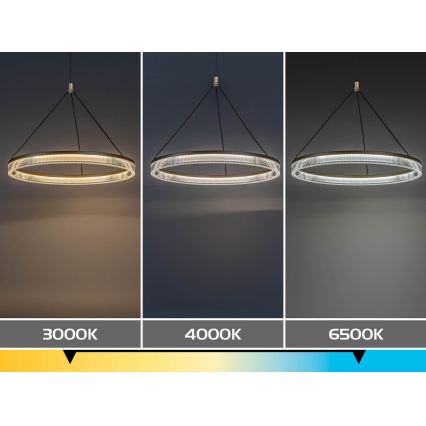 Rabalux - Dimeriuojamas LED pakabinamas šviestuvas ant laido LED/24W/230V 3000-6500K + nuotolinis valdymas