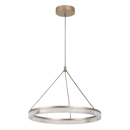 Rabalux - Dimeriuojamas LED pakabinamas šviestuvas ant laido LED/24W/230V 3000-6500K + nuotolinis valdymas