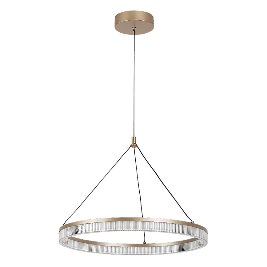 Rabalux - Dimeriuojamas LED pakabinamas šviestuvas ant laido LED/24W/230V 3000-6500K + nuotolinis valdymas