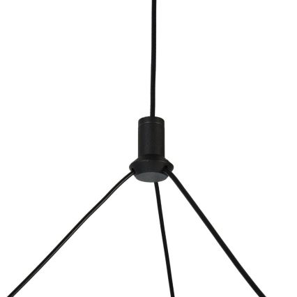 Rabalux - LED reguliuojamas pakabinamas šviestuvas ant laido LED/24W/230V 3000-6500K + su nuotoliniu valdymu