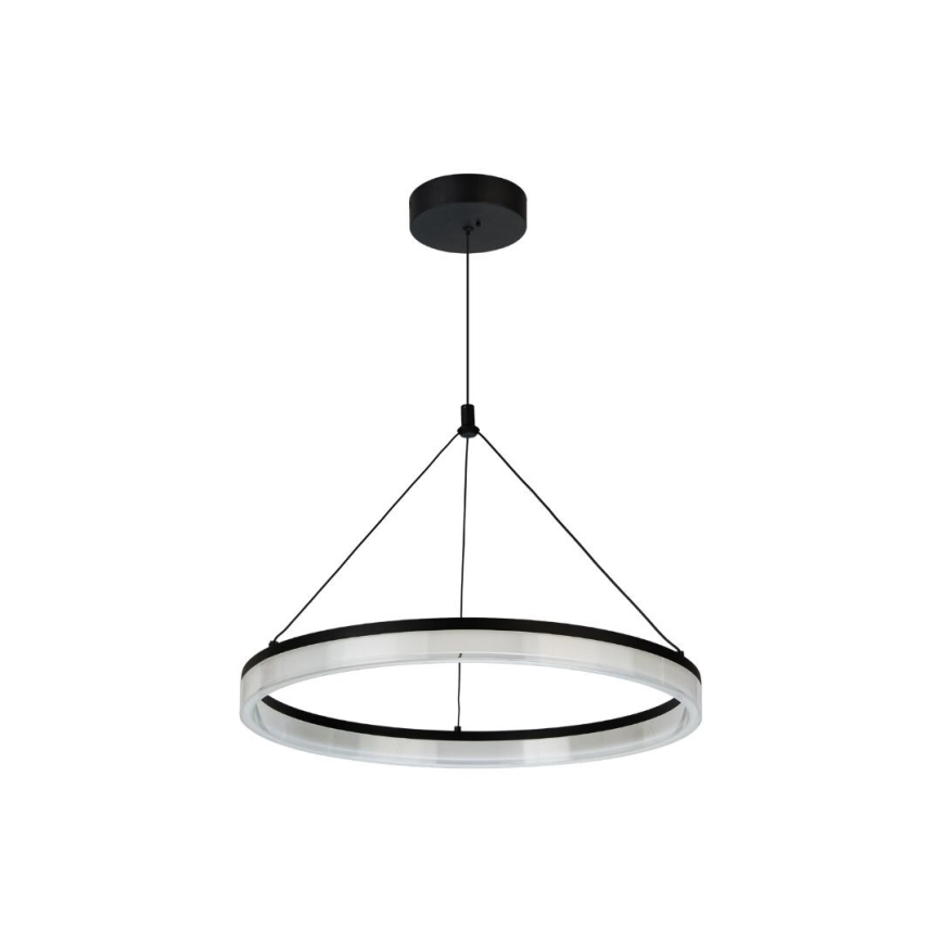 Rabalux - LED reguliuojamas pakabinamas šviestuvas ant laido LED/24W/230V 3000-6500K + su nuotoliniu valdymu