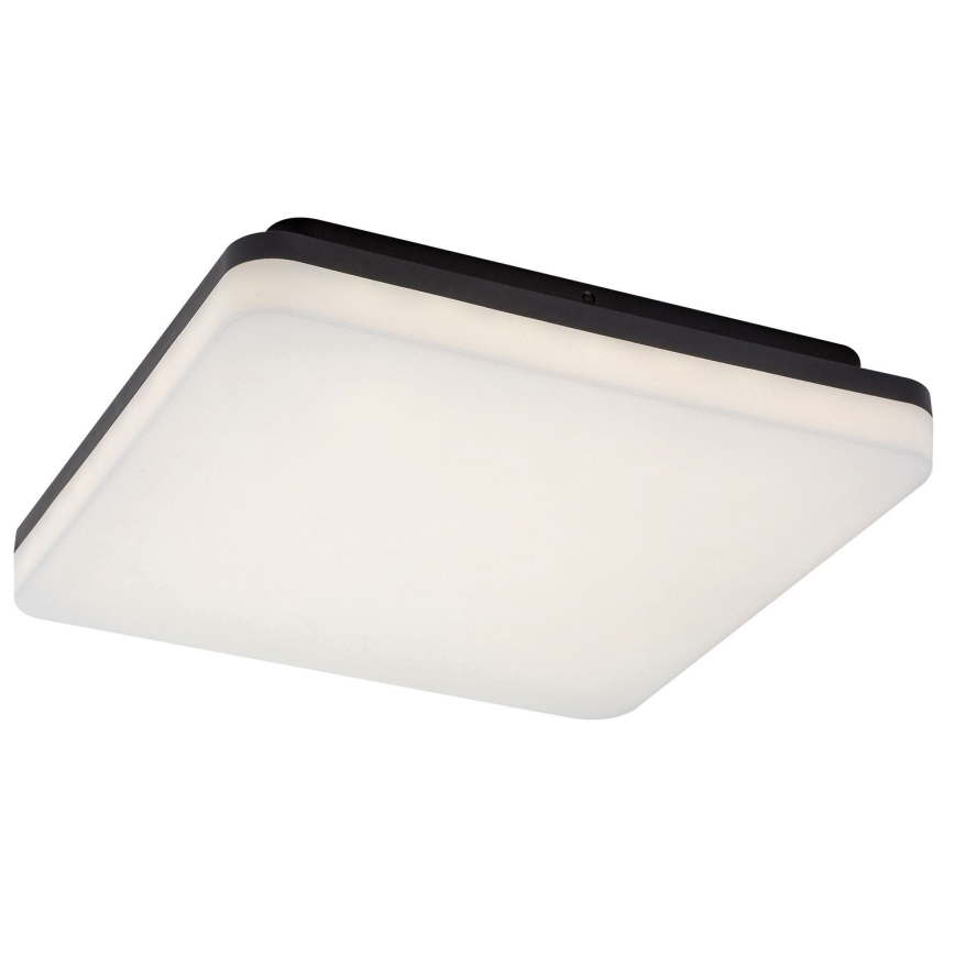 Rabalux - LED Vonios lubinis šviestuvas LED/24W/230V IP54