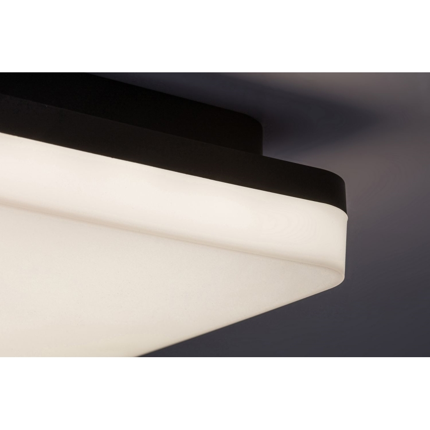 Rabalux - LED Vonios lubinis šviestuvas LED/24W/230V IP54