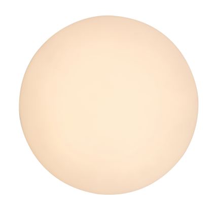 Rabalux - LED vonios kambario lubinis šviestuvas LED/24W/230V IP54 skersmuo 28 cm