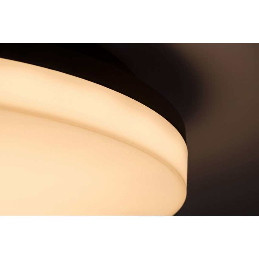 Rabalux - LED Vonios lubinis šviestuvas LED/24W/230V IP54